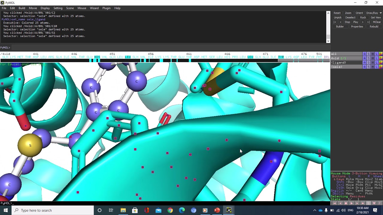ByMol Tutorial, loading Protein, Showing active sites, Polar contacts, Measuring, Labeling, H-boning