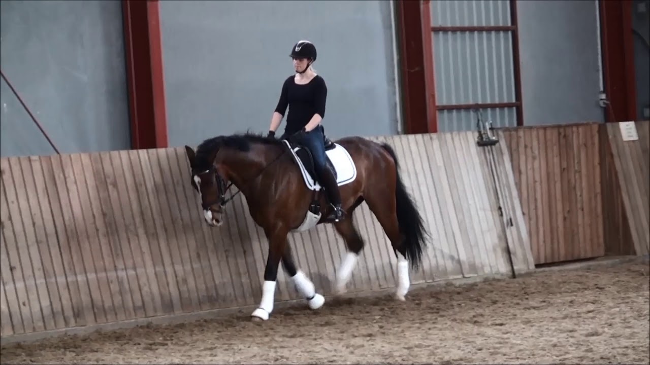 Wynton Florestan Cannon Row 2