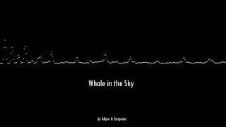Electronic Dance Music - Whale in the Sky (by AMpro & Steepnoise)