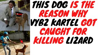This Is How Vybz Kartel's Dog Helped To Sink Him After The 'Lizard' KlLLING