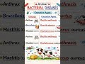 bacterial disease in animal/ animal me hone wali bacterial bimari #neet #biology #trending #viral