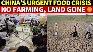 Download lagu China’s Urgent Food Crisis: No One Farms, Farmland Gone, Frequent Disasters, High Import Reliance
