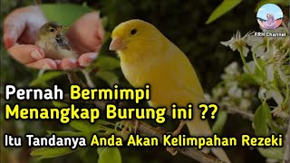 Bersiaplah Didatangi Rezeki !! Arti Mimpi Menangkap Burung Menurut Islam & Primbon Jawa