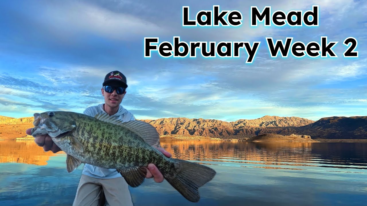 Lake Mead Fishing Report • Low Pressure Storm Front Conditions!