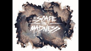 ESCAPE THE MADNESS - No Words Left