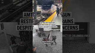 Amtrak may ease gun restrictions on trains despite security concerns