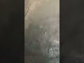 Teleport