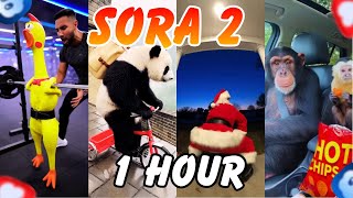1 Hour of Sora 2 AI Completely Breaking Reality  (Funniest Sora 2 Moments Ever Captured)