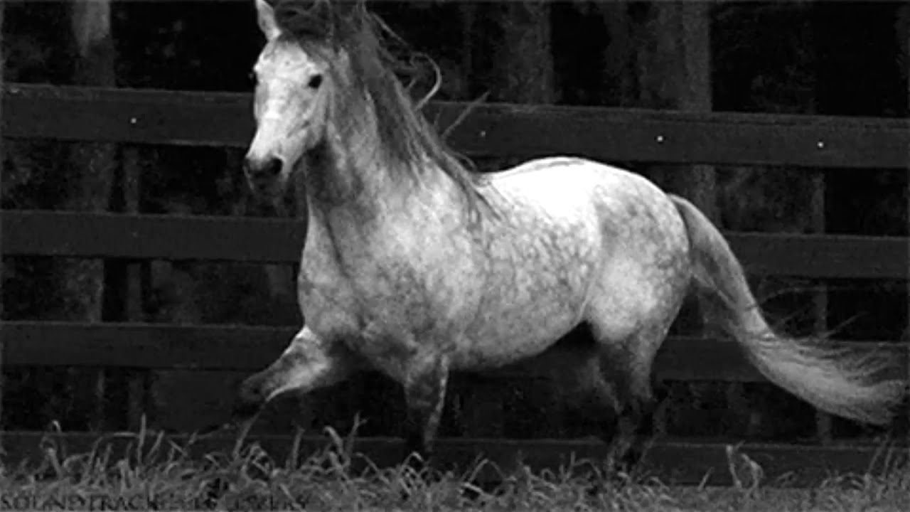 Little Dragon - Rush (slowed + reverb)