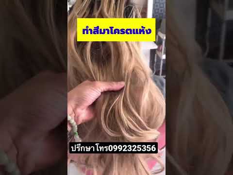 ผลสลากกินแบ่งรัฐบาล วันที่ 1 พย. 2567 ผลสลากกินแบ่งรัฐบาล วันที่ 1 พย. 2567