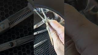 Please treat your freshly sharpened delicate razor edge shears like scalpels.