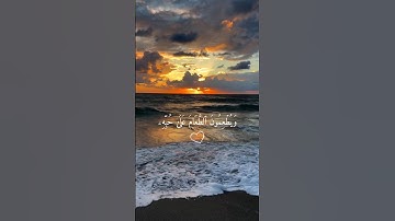 أرح سمعك 🤍🌿 ستوريات انستا قران كريم ايات قرانية قصيرة || حالات واتس قران صوت #القارئ_إسلام_صبحي 🤍🌿