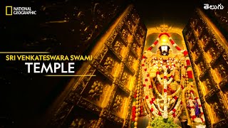 Sri Venkateswara Swami Temple | Inside Tirumala Tirupati | తెలుగు | National Geographic