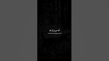 عبدالرحمن مسعد | سورة المائدة (٧٤) | افلا يتوبون الي الله"😌🎧