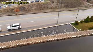 Neşet Ertaş Parkı Kuşcağız Neşet Ertaş Sanat Ve Gösteri Merkezine Nasıl Gidilir? Ankara