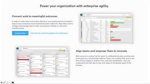 rally - project task management