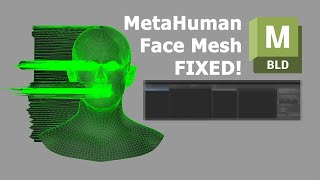 How to Fix MetaHuman Face Mesh in MotionBuilder