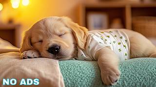 12 Hours Dog Sleep Music ☁️ Dog Calming Music - Dog Soft Melodies For Deep Peaceful Rest screenshot 5