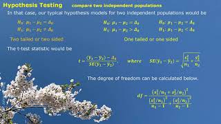STAT Hypothesis Testing III