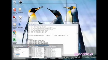 Colaboration microsoft excel and notepad