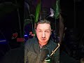 Gdzie te pasje?