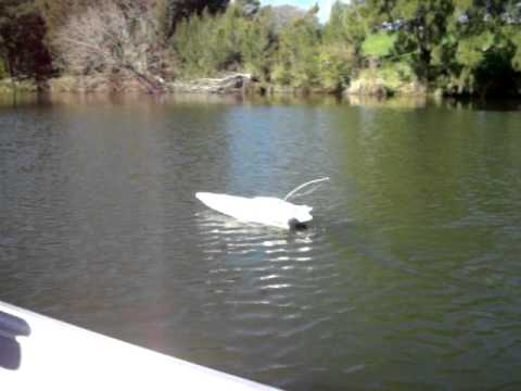 rc boat & 2hp seahorse nepean river.AVI