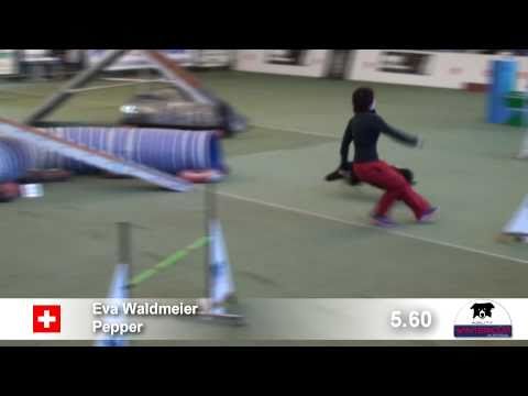 WCA - 2/2011 - Eva Waldmeier & Pepper - Agility-Open