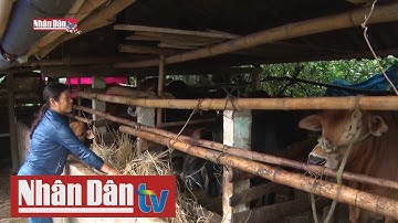 Phụ nữ Quảng Nam với công cuộc nỗ lực giảm nghèo