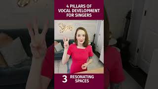 4 Pillars of Vocal Development - New to Singing? START HERE