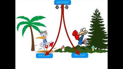 Why are genome sequences similar? | bioinformaticshome.com