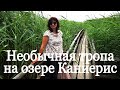 Пешком по озеру Каниерис.Латвия