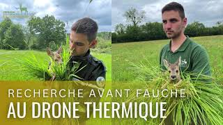 Repérage des faons avant fauche au drone thermique - 2026