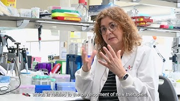 IDIBAPS researcher Cristina Fillat explains her research on gene therapy and cancer