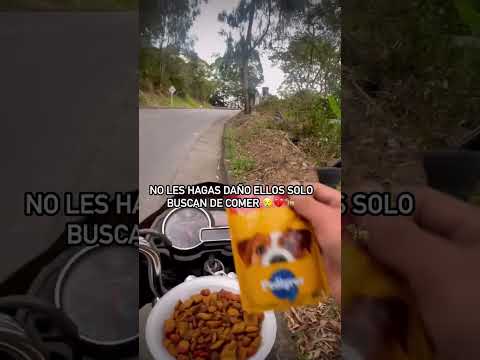 4 de noviembre de 2025