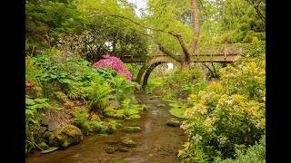 Crystal Springs Rhododendron Garden in Portland, Oregon & camping at local Elks Lodges