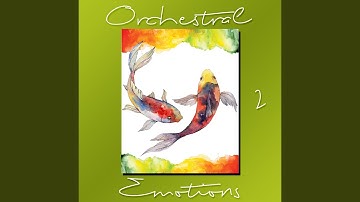 Meaningful Experiences