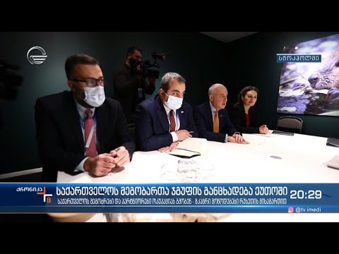 საქართველოს მეგობართა ჯგუფის განცხადება ეუთოში