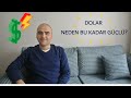 Dolar Neden Bu Kadar Güçlü?