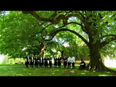 ეთნოფორი • etnopori (გადაცემა ოცდამეათე) 10.06.2015წ.