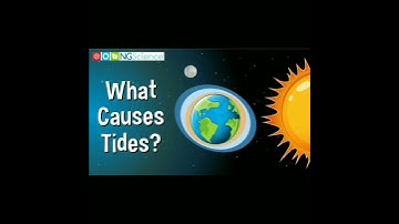 types of tides #spring #tides