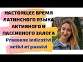 НАСТОЯЩЕЕ ВРЕМЯ ЛАТИНСКОГО ЯЗЫКА АКТИВНОГО И ПАССИВНОГО ЗАЛОГА Praesens indicativi activi et passivi