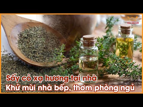 Video: Thu hoạch Cỏ xạ hương Và Cách Làm khô Cỏ xạ hương