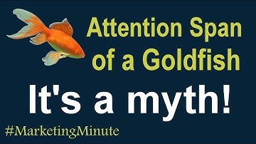 Attention Span of a Goldfish Myth (Customer Insights/Analytics) Marketing Minute 124