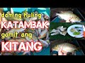 Nakahuli kami ng maraming isdang KATAMBAK gamit ang KITANG o LONGLINEFISHING (CATCH,SELL AND COOK)