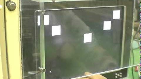 Working memory of numerals in chimpanzees (human)