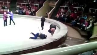 Сходила с пьяным мужем в цирк. Прикол.I went with a drunken husband in the circus. The trick Сходила с пьяным мужем в цирк. Прикол.I went with a drunken husband in the circus. The trick