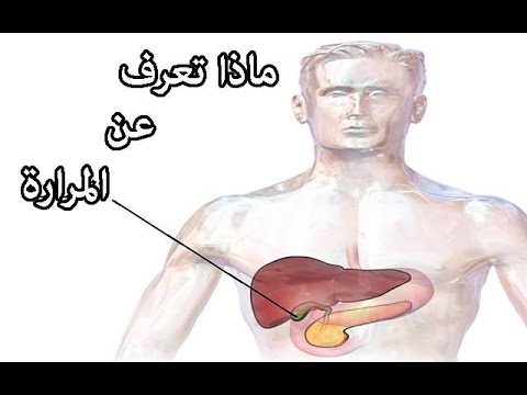 ما لا تعرفه  عن المرارة فى جسم الانسان / محمود بوكس