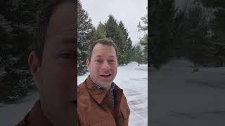 2025 In Review Robotic Yard Machine Mower Snow Blower! #endofyear  #yarbo #robot #snow #mower