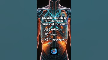 Comment Your Score: How Many Did You Get Right? #shorts #quiz #trivia