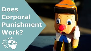 Does corporal punishment work?